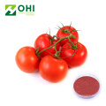 Tomato Fruit Juice powder